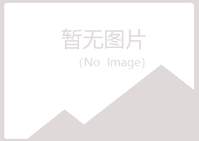 白银平川凌雪水泥有限公司